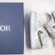 Nike Air Force 1 Low Dior Grey Custom