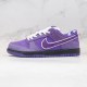 Nike SB Dunk Low Concepts Purple Lobster BV1310-555